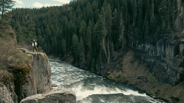 Brontide collection de PIG&HEN