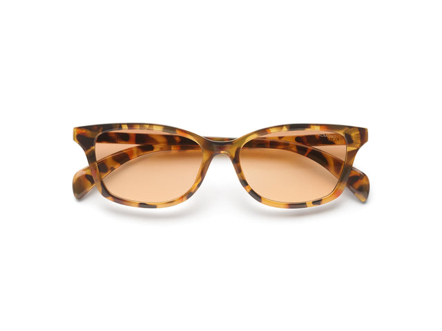 Gloria Amber Shell