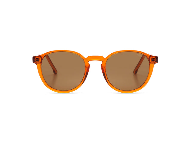 Liam_Jr. Anise Matte