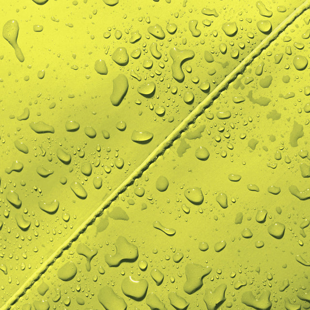 Eliza_Lotus Acid Lime