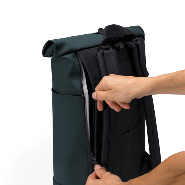 Hajo Pannier Lotus Infinity Forest