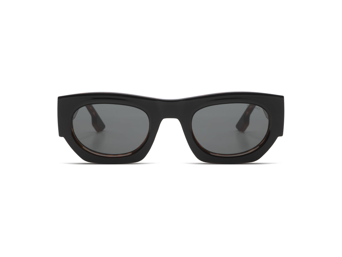 Alpha Black Tortoise