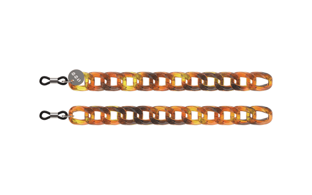 Brooks Tortoise