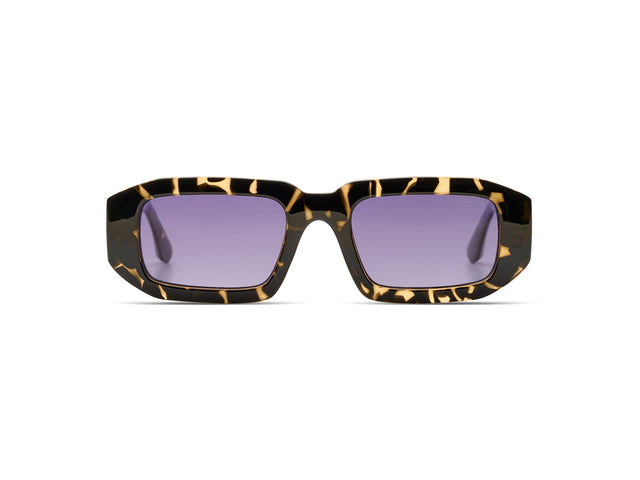 Blaze Dark Tortoise