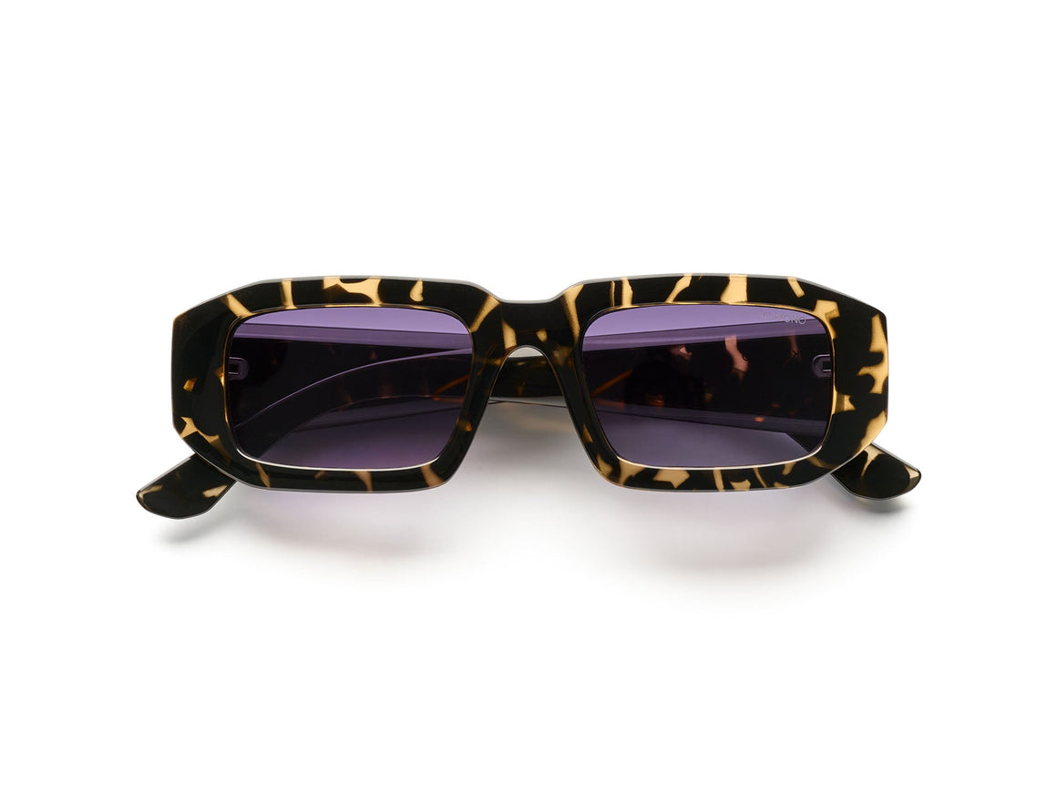 Blaze Dark Tortoise