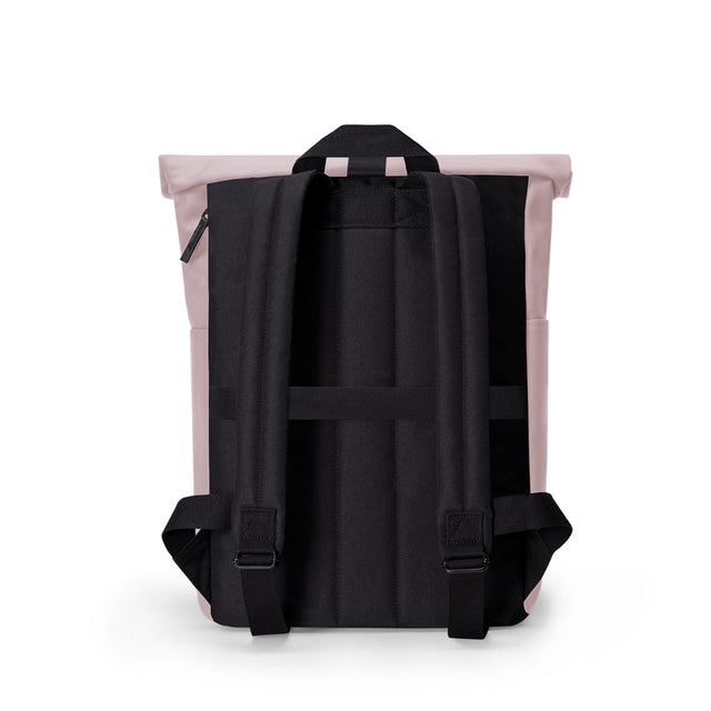 Hajo_Lotus_Infinity Light Rose