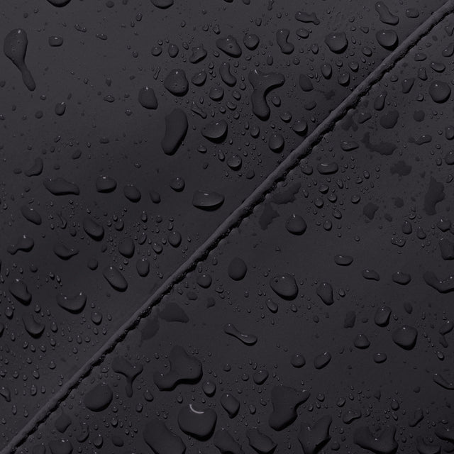 Niklas_Lotus Black