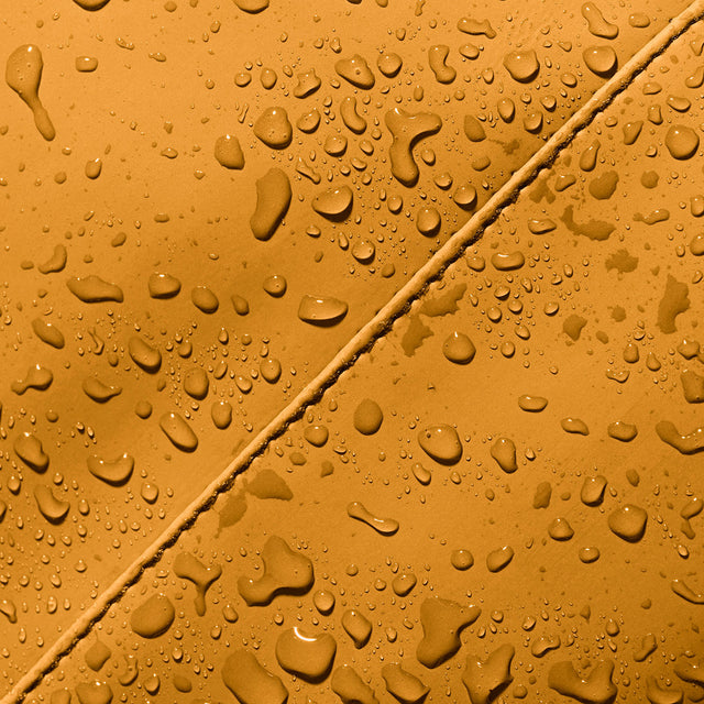 Hajo Lotus Honey Mustard